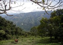 Luz verde a reforma rural integral