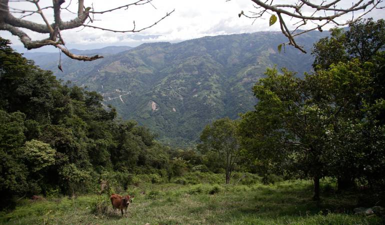 Restitución de tierras: Luz verde a reforma rural integral