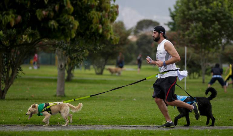 Festival para mascotass: Centro Canino de la Cruz Roja realizará festival dedicado a mascotas