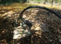 Desde hoy está prohibido el uso de mercurio en minería de oro