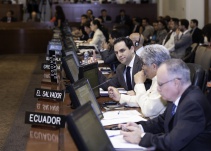 OEA pide a Ortega que acepte elecciones anticipadas para marzo de 2019