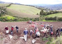 Ospina, Nariño protege el Páramo Paja Blanca