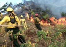 Año tras año los bomberos de Pasto luchan contra los incendios forestales