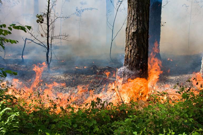 Una chispa puede provocar un incendio forestal
