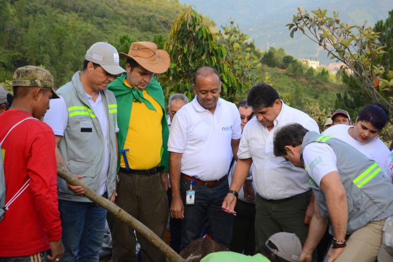 En Bello esperan que el desastre del Cerro Quitasol no vuelva a ocurrir