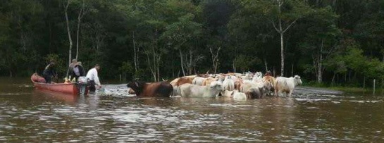 Emergencia invernal en Colombia: Cinco departamentos en alerta por fuertes lluvias Emergencia invernal en Colombia: Cinco departamentos en alerta por fuertes lluvias