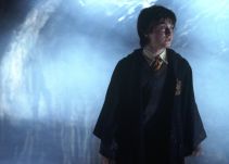 ¿Por qué se celebra el día mundial de Harry Potter?