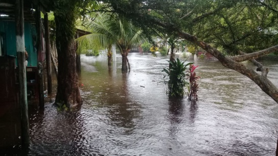 Se agudiza la emergencia por inundaciones en Guainía y Vichada Se agudiza la emergencia por inundaciones en Guainía y Vichada