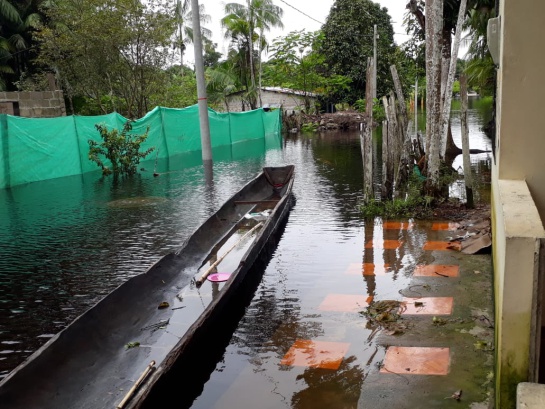 Se agudiza la emergencia por inundaciones en Guainía y Vichada Se agudiza la emergencia por inundaciones en Guainía y Vichada