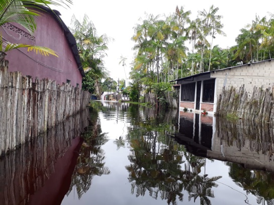 Se agudiza la emergencia por inundaciones en Guainía y Vichada Se agudiza la emergencia por inundaciones en Guainía y Vichada
