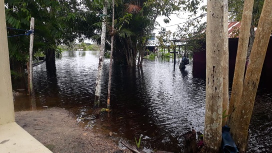 Se agudiza la emergencia por inundaciones en Guainía y Vichada Se agudiza la emergencia por inundaciones en Guainía y Vichada