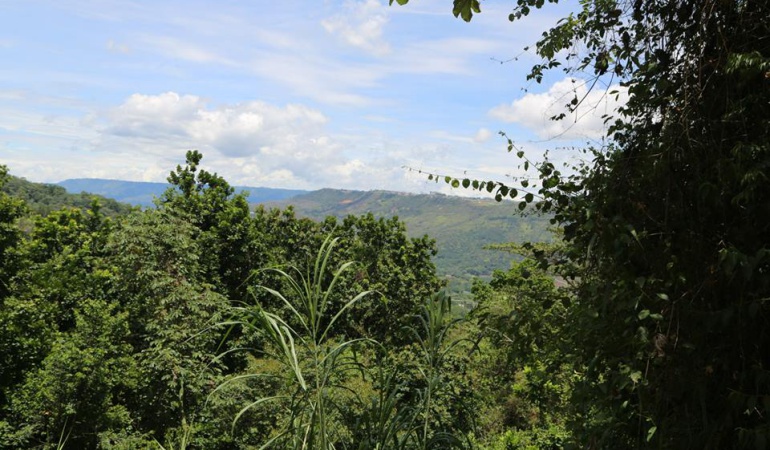 MIllonarias demandas contra MInAmbiente: Preparan demandas contra el Estado por reglamentación de Minambiente