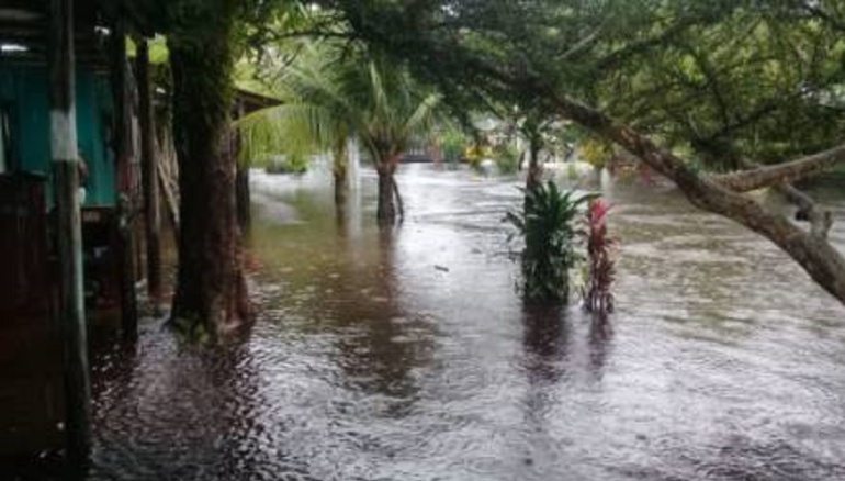 Emergencias por lluvias: 1.500 hombres de la Armada apoyan a damnificados en Vichada y Guainía