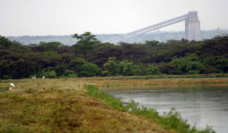 Carbón MinAmbiente: MinAmbiente busca 'salvavidas' para Bonos de Carbono