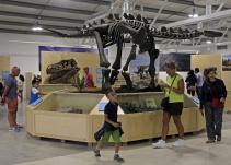 ¡Impresionante! Por primera vez encuentran huellas de dinosaurio en Escocia