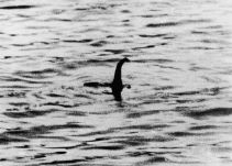 ¡Es real! Revelan foto del monstruo del Lago Ness