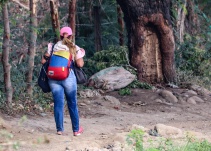 El morral tricolor símbolo de la migración venezolana