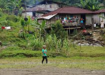 INS confirma brote de enfermedad diarréica en Chocó