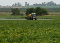 Corte de Brasil revocó medida que prohibía el glifosato