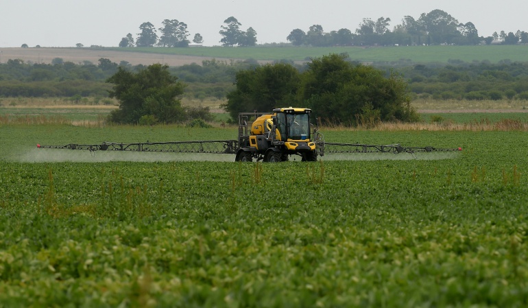 Prohibición del Glifosato Brasil: Corte de Brasil revocó medida que prohibía el glifosato