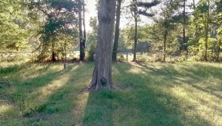 Fantasmas en google Maps: ¿Google Maps capta fantasmas?