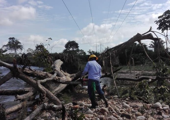 Apagón en Arauca: Después de 16 horas, Tame y Puerto Rondón vuelven a tener energía eléctrica Apagón en Arauca: Después de 16 horas, Tame y Puerto Rondón vuelven a tener energía eléctrica