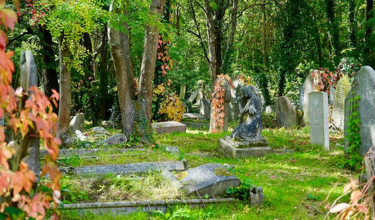 Cremaciones y entierros amigables con el ambiente son tendencia en Colombia