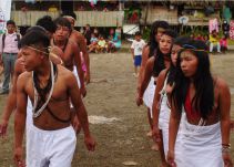 En Video: Baile tradicional de los indígenas Waunaan
