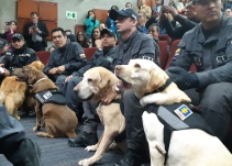 Fiscalía pensiona a investigadores de "cuatro patas"