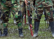 Exmiembros de las Farc demandarán al Estado Colombiano ante la CIDH