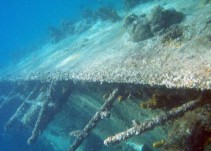 Gobierno se toma cuatro meses más para decidir rescate del Galeón San José