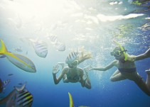 Semana de receso en el Caribe: 5 planes imperdibles en familia