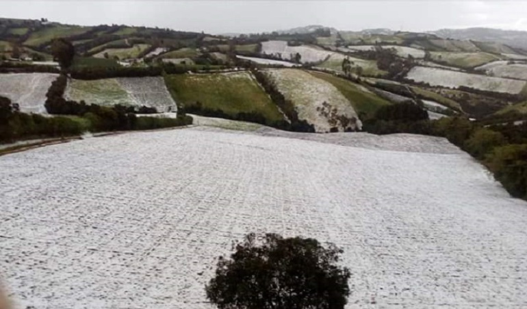 Granizada dañó cultivos de agraz, papa y talleres de artesanías en Ráquira: Granizada dañó cultivos de agraz, papa y talleres de artesanías en Ráquira