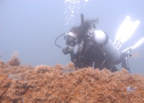 Mejorar la pesca artesanal, uno de los retos de los arrecifes de Ecopetrol
