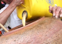 El festival de la chicha está de vuelta en Bogotá