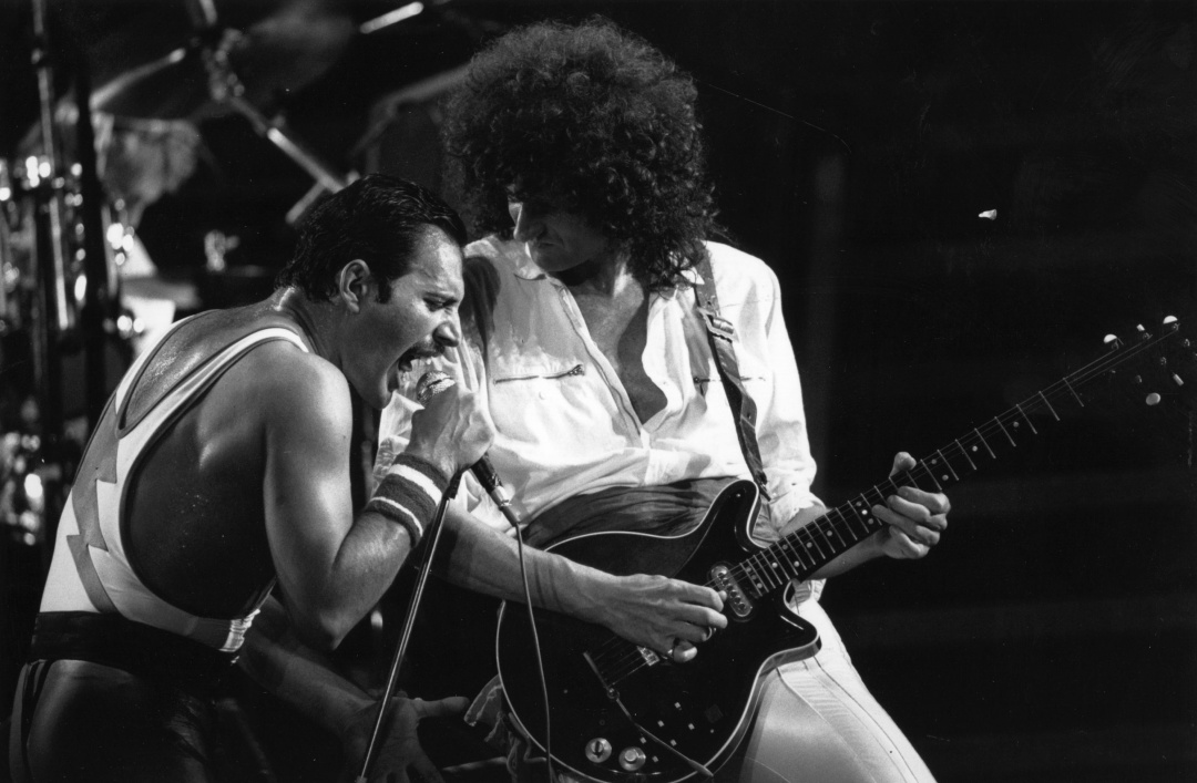 ¿Freddie Mercury “reencarnó” y ahora es una ardilla?