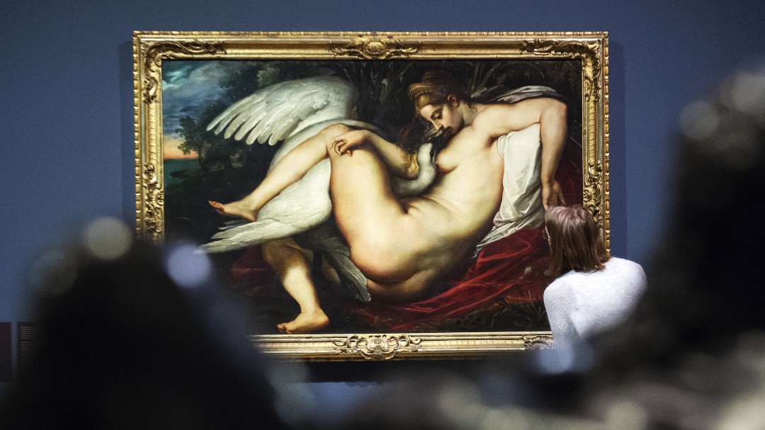 ¡Asombroso! Hallan pintura de la bella Leda seducida por el cisne