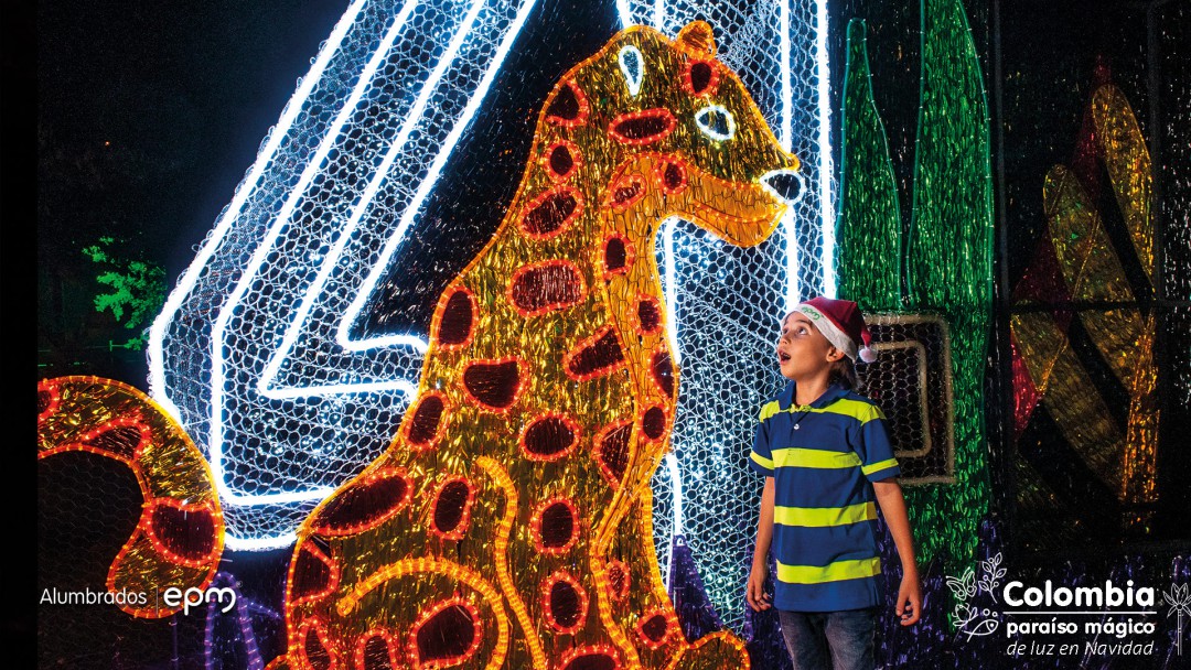Colombia, paraíso mágico de luz en Navidad
