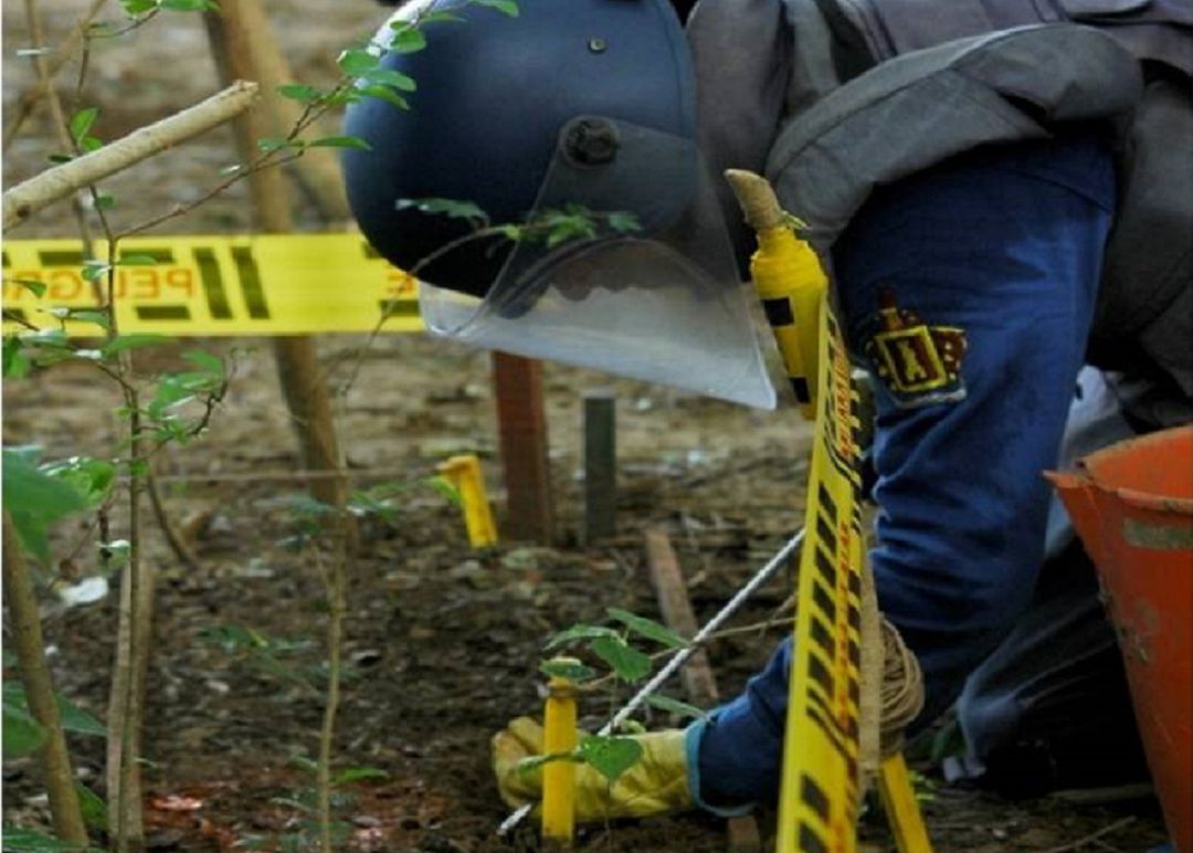 Minas antipersonales en Colombia: Víctimas de minas antipersona aumentaron en un 245% en el último año