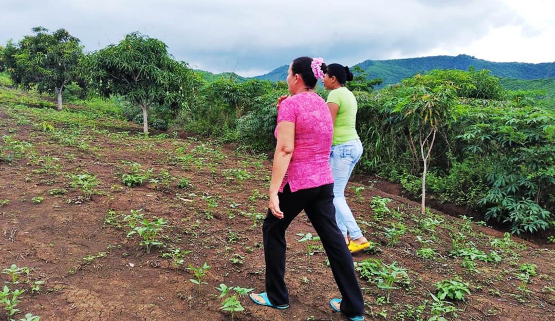 Familias de Zambrano y El Carmen de Bolívar regresarán a sus predios: Familias de Zambrano y El Carmen de Bolívar regresarán a sus predios