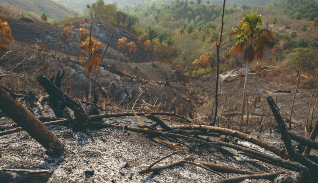 10 temas neurálgicos para un tránsito urgente hacia la sostenibilidad