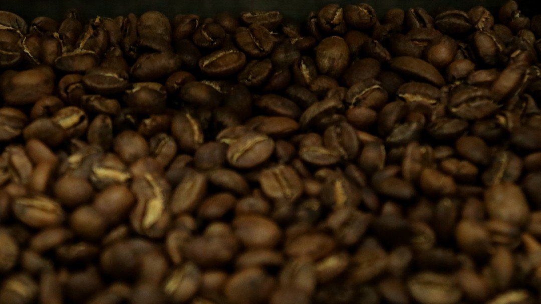 Congreso cafetero evalúa crisis económica de los productores del grano