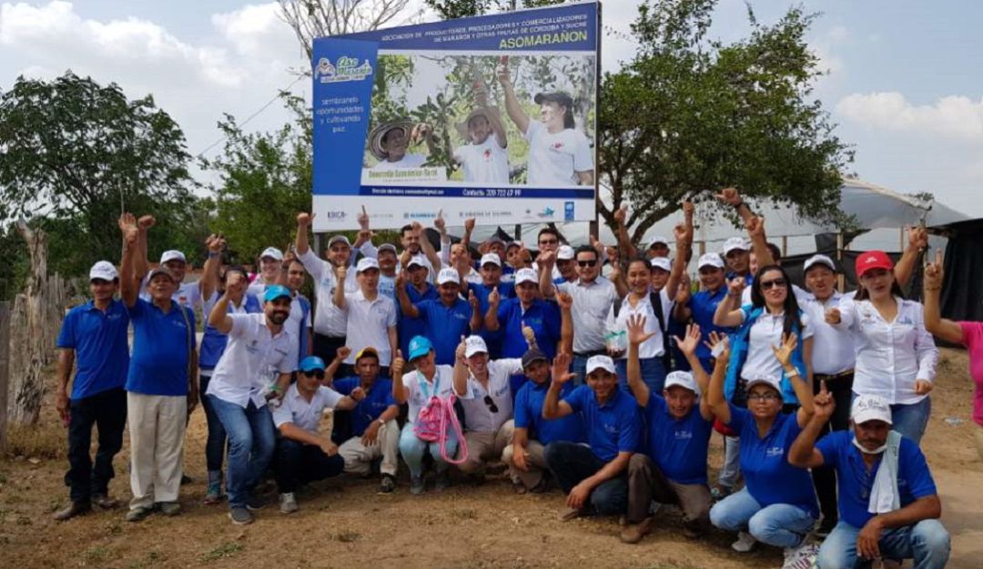 Cooperación postconflicto: La mano amiga de Corea con el campo colombiano