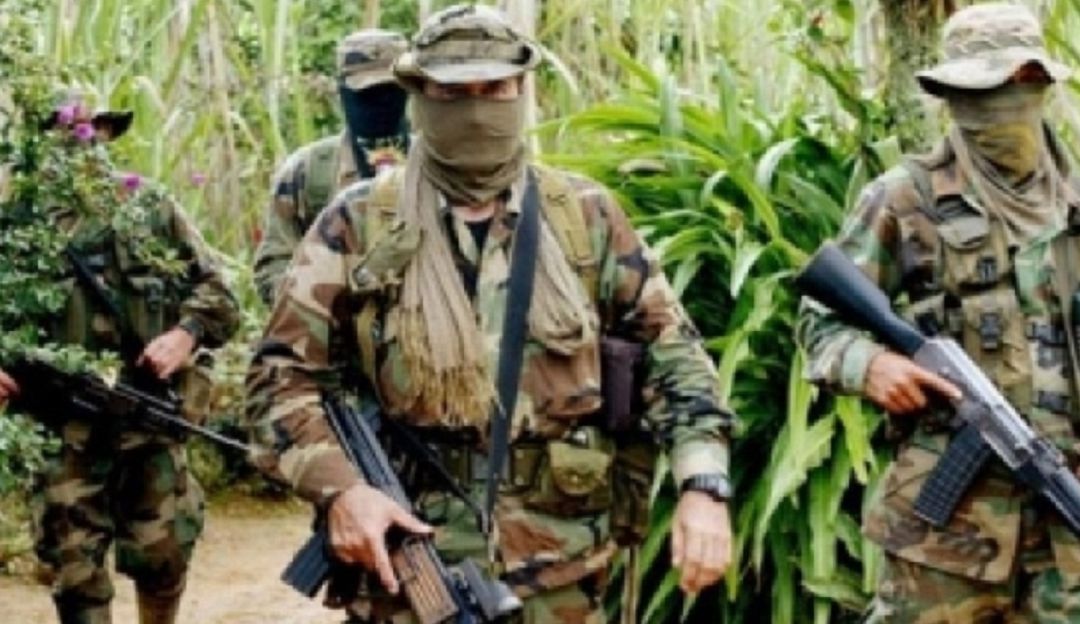 CLAN GOLFO, AUTODEFENSAS, GAITANISTAS, CESE UNILATERAL, NAVIDAD, URABÀ: AGC anunció cese de actividades ilegales durante navidad en Antioquia