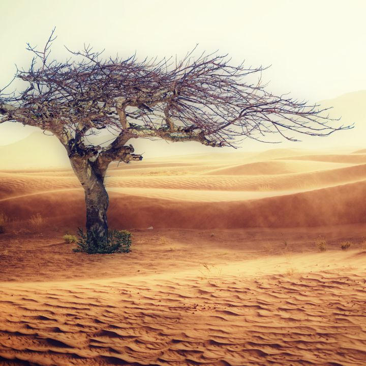 El calentamiento global puede provocar fenómenos climáticos más extremos