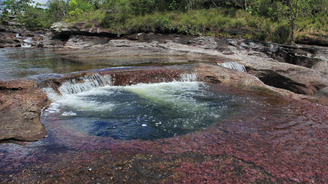 Caño Cristales estará cerrado hasta mediados de 2019