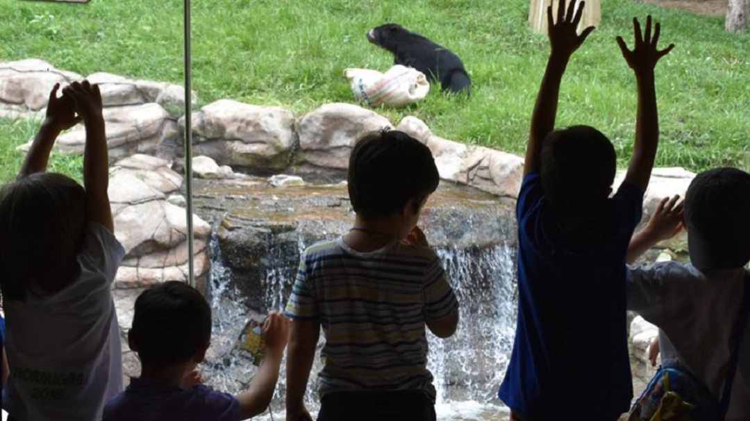 Zoológico de Cali no dejó comer a niños con discapacidad en su interior