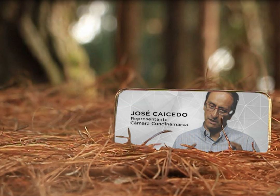 Primer proyecto de Ley que impone sanciones severas a la deforestación