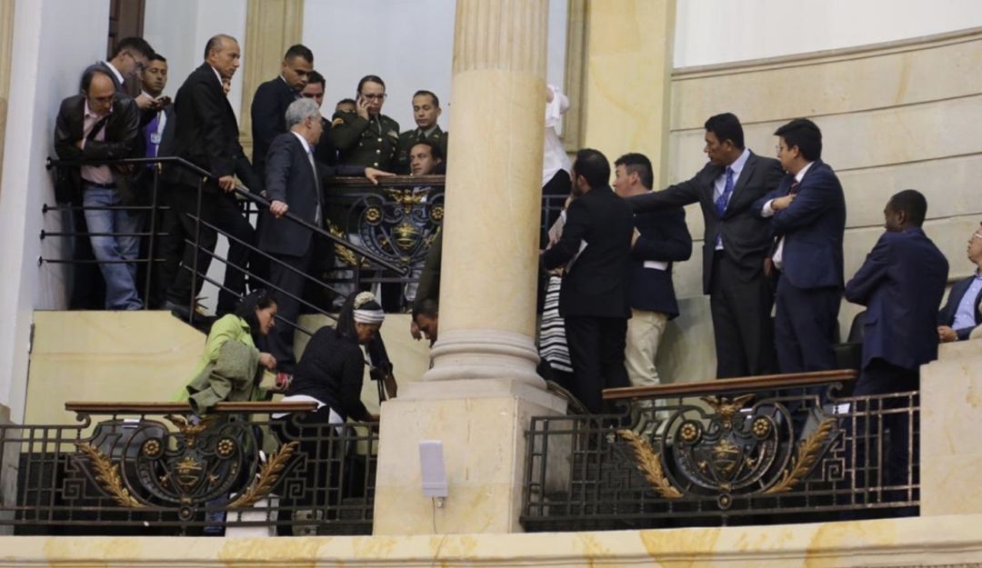 Ratones en el Senado colombiano: Ratas lanzadas en el Senado le dan la vuelta al mundo