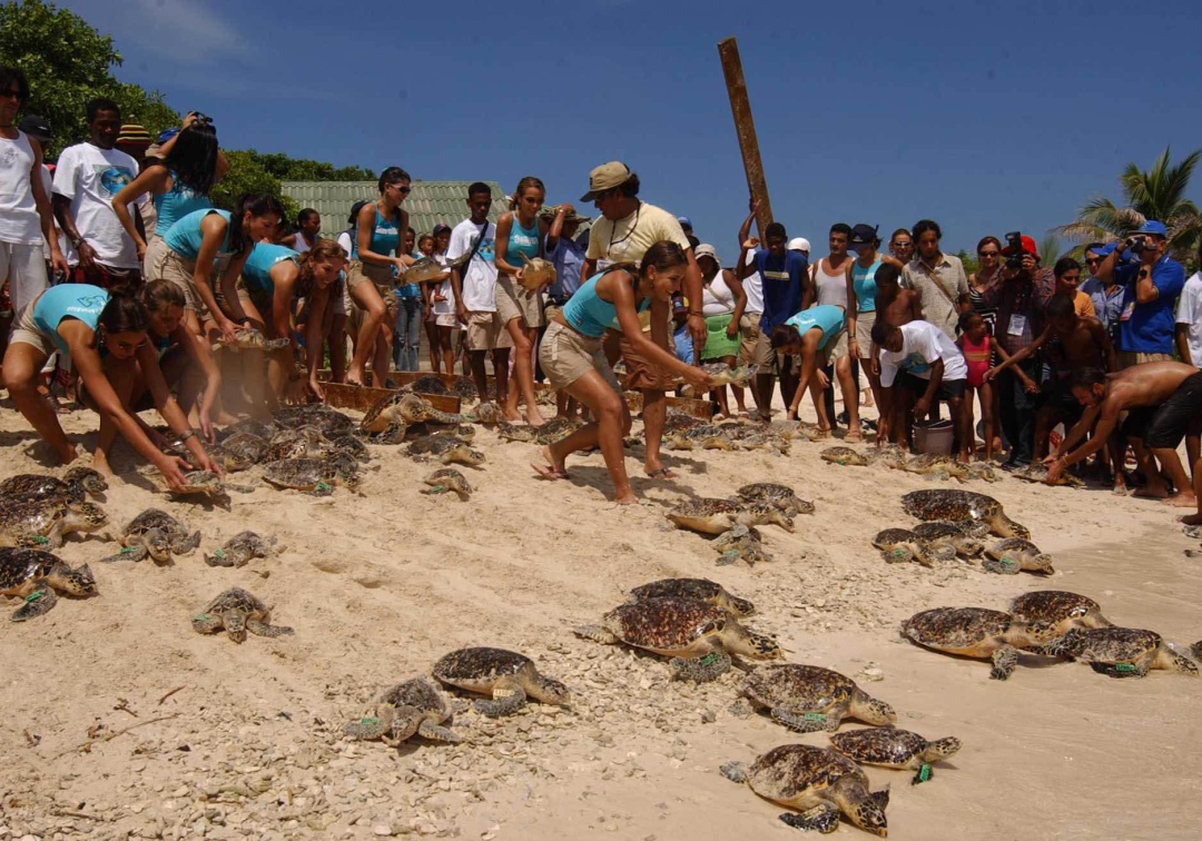 Demolieron estructuras ilegales en Parque Natural de la región Caribe